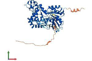 AlphaFold protein structure predicition of Human Recombinant MSS51 Protein, UniprotID Q4VC12