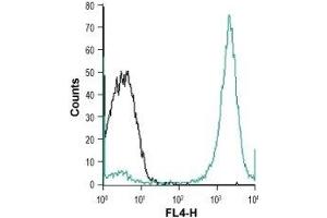 Cell surface detection of Magnesium transporter NIPA4 in THP-1 (human acute monocytic leukemia cell line) living cells: (black line) Unstained cells. (NIPAL4 antibody  (2nd Extracellular Loop))