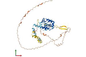 AlphaFold protein structure predicition of Human Recombinant SPDYE2B Protein, UniprotID A6NHP3 (SPDYE2B Protein (AA 1-402) (His tag))