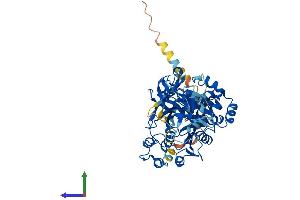 Protein Structure (PS) image for UDP-N-Acetyl-alpha-D-Galactosamine:polypeptide N-Acetylgalactosaminyltransferase 14 (GalNAc-T14) (GALNT14) (AA 1-552) protein (His tag) (ABIN7554010)