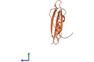 AlphaFold protein structure predicition of Human Recombinant FAM223B Protein, UniprotID A6NKX1 (FAM223B Protein (AA 1-122) (His tag))