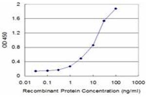 Detection limit for recombinant GST tagged ECHS1 is approximately 0. (ECHS1 antibody  (AA 13-290))