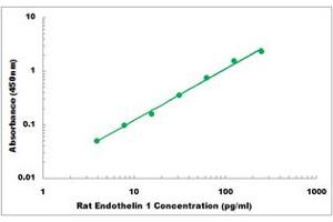 Representative Standard Curve (Endothelin 1 ELISA Kit)