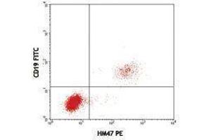 Flow Cytometry (FACS) image for anti-B-cell antigen receptor complex-associated protein alpha chain (CD79A) antibody (PE) (ABIN2663582) (CD79a antibody  (PE))