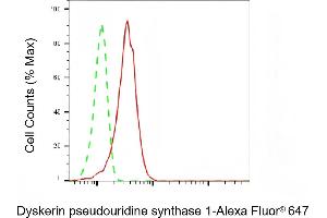 Flow cytometric analysis of Dyskerin pseudouridine synthase 1 expression in HepG2 cells using Dyskerin pseudouridine synthase 1 antibody (ABIN7798408), 1:2,000). (Recombinant DKC1 antibody)