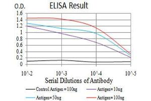 Black line: Control Antigen (100 ng),Purple line: Antigen (10 ng), Blue line: Antigen (50 ng), Red line:Antigen (100 ng) (UCP2 antibody  (AA 1-309))
