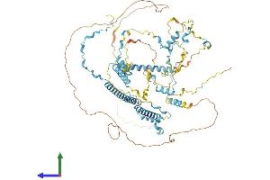Protein Structure (PS) image for TPX2, Microtubule-Associated, Homolog (Xenopus Laevis) (TPX2) (AA 1-745) protein (His tag) (ABIN7561941)