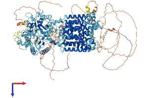 AlphaFold protein structure predicition of Mouse Recombinant Disp2 Protein, UniprotID Q8CIP5