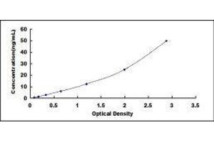 Mucin 4, Cell Surface Associated (MUC4) ELISA Kit