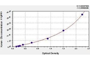 Complement Component 5a (C5a) ELISA Kit
