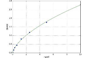 O6-Methylguanine-DNA-Methyltransferase (MGMT) ELISA Kit