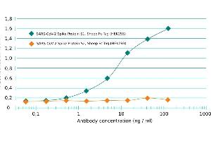 ELISA image for anti-SARS-CoV-2 Spike S1 (RBD) antibody (ABIN6952547)