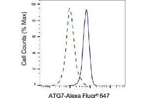 Validation of ATG7 knockdown using flow cytometry. (Recombinant ATG7 antibody)