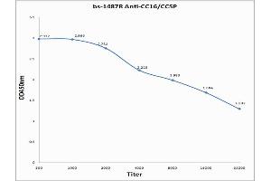 Antigen: 0. (SCGB1A1 antibody  (AA 21-86))