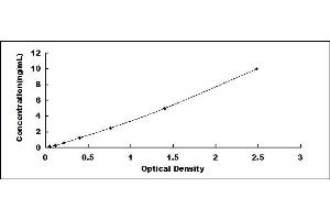 Typical standard curve (Cathepsin L2 ELISA Kit)