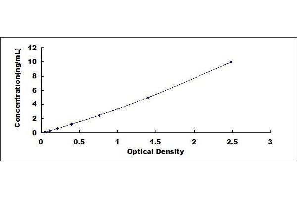 Cathepsin L2 ELISA Kit