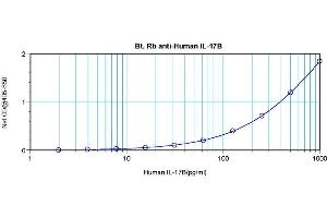Sandwich ELISA using Biotin conjugated anti-Interleukin-17B / IL17B antibody (IL17B antibody  (Biotin))