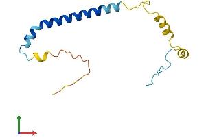 Protein Structure (PS) image for Poly Binding Protein Interacting Protein 2 (PAIP2) (AA 1-124) protein (His tag) (ABIN7561057)
