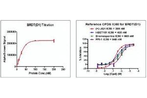 Recombinant BRDT (21-137) activity using AlphaScreen. (BRDT Protein (AA 21-137) (His tag,DYKDDDDK Tag))