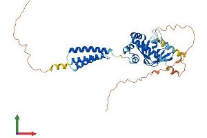 AlphaFold protein structure predicition of Mouse Recombinant Bves Protein, UniprotID Q9ES83