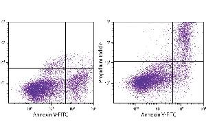 Day old BALB/c mouse splenocytes were stained with ApoScreen® Annexin V Apoptosis Kit-FITC.