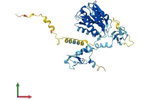 Protein Structure (PS) image for General Transcription Factor IIH, Polypeptide 2C (GTF2H2C) (AA 1-395) protein (His tag) (ABIN7544288)