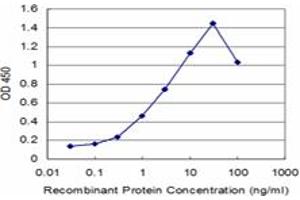 Detection limit for recombinant GST tagged ROBO1 is approximately 0. (ROBO1 antibody  (AA 491-589))
