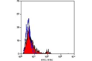 Staining of bovine peripheral blood lymphocytes with MOUSE ANTI BOVINE CD4:FITC (ABIN182045). (CD4 antibody  (FITC))