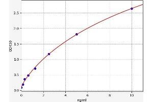 Typical standard curve (Neuregulin 1 ELISA Kit)