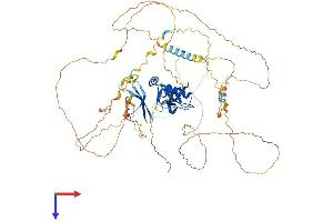 AlphaFold protein structure predicition of Human Recombinant PWWP2A Protein, UniprotID Q96N64 (PWWP2A Protein (AA 1-755) (His tag))