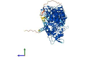 AlphaFold protein structure predicition of Human Recombinant ZYG11A Protein, UniprotID Q6WRX3 (ZYG11A Protein (AA 1-759) (His tag))