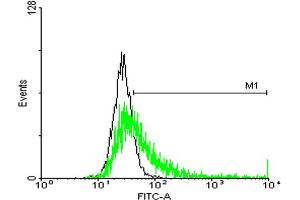 Flow Cytometry (FACS) image for anti-Major Histocompatibility Complex, Class II, DQ beta 1 (HLA-DQB1) (AA 1-261) antibody (ABIN1327606)