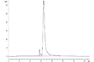 CD248 Protein (AA 18-687) (His tag)