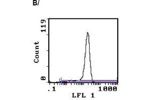 Image no. 1 for anti-CD3 (CD3) antibody (FITC) (ABIN114136)