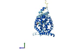 Protein Structure (PS) image for Adenylate Kinase 8 (AK8) (AA 1-479) protein (His tag) (ABIN7548621)