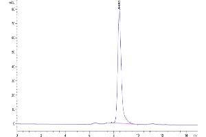 The purity of Biotinylated Human BTN3A1 is greater than 95 % as determined by SEC-HPLC.