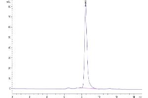 The purity of Biotinylated Human BTN3A1 is greater than 95 % as determined by SEC-HPLC. (BTN3A1 Protein (AA 30-254) (His-Avi Tag,Biotin))