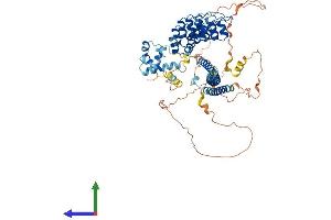 AlphaFold protein structure predicition of Mouse Recombinant Anks3 Protein, UniprotID Q9CZK6 (ANKS3 Protein (AA 1-655) (His tag))