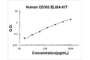 CD302 (CD302) ELISA Kit