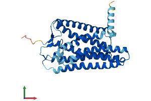 AlphaFold protein structure predicition of Human Recombinant OR2L5 Protein, UniprotID Q8NG80 (OR2L5 Protein (AA 1-312) (His tag))