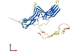 AlphaFold protein structure predicition of Mouse Recombinant Arrdc4 Protein, UniprotID A0A0B4J1F4 (ARRDC4 Protein (AA 1-415) (His tag))