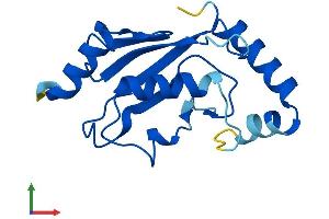 AlphaFold protein structure predicition of Human Recombinant UBE2NL Protein, UniprotID Q5JXB2