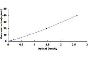 Typical standard curve (FCGR1A ELISA Kit)