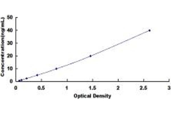 FCGR1A ELISA Kit