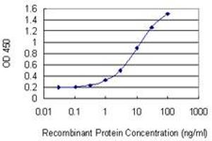 Detection limit for recombinant GST tagged ARPC3 is 0. (ARPC3 antibody  (AA 1-78))