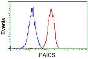 Flow cytometric Analysis of Jurkat cells, using anti-PAICS antibody (ABIN2453416), (Red), compared to a nonspecific negative control antibody (ABIN2453416), (Blue). (PAICS antibody)
