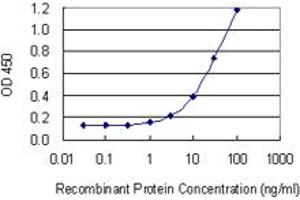 Detection limit for recombinant GST tagged BNIPL is 0. (BNIPL antibody  (AA 1-275))