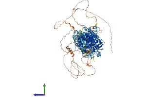 AlphaFold protein structure predicition of Mouse Recombinant Slc12a2 Protein, UniprotID P55012
