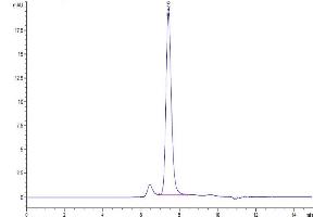 Size-exclusion chromatography-High Pressure Liquid Chromatography (SEC-HPLC) image for Met Proto-Oncogene (MET) (AA 25-932) protein (His-Avi Tag,Biotin) (ABIN7275249)