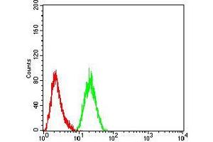 Flow cytometric analysis of Hela cells using ARF1 mouse mAb (green) and negative control (red). (ARF1 antibody  (AA 76-182))